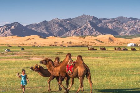 Classic Central Mongolian Tour