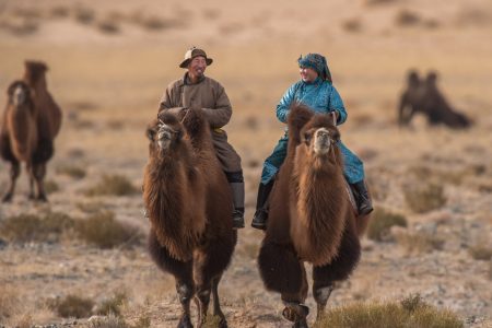 Interaction with Nomadic Culture in Central Mongolia