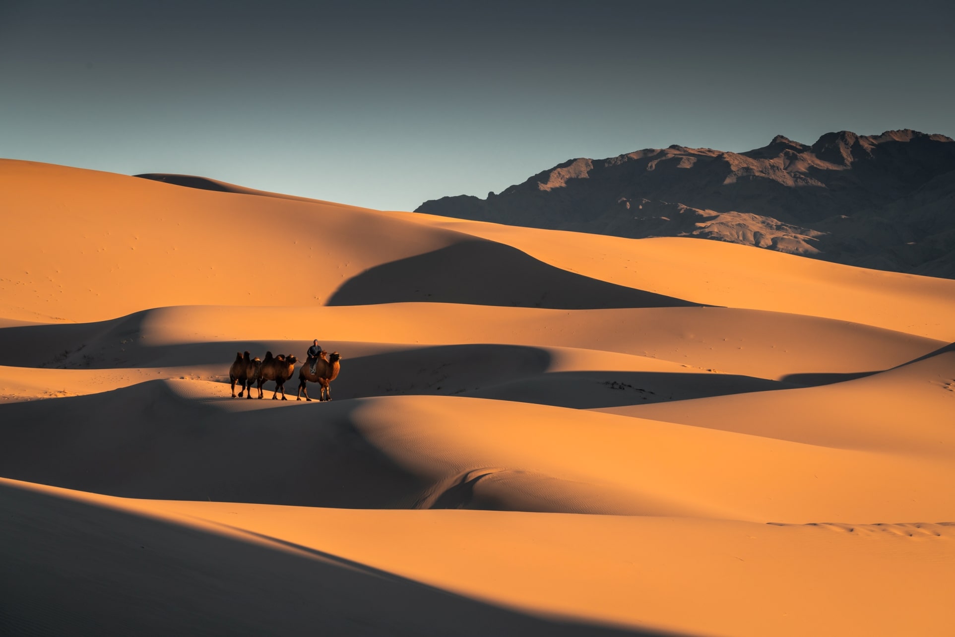 <span> Day 5 </span> Khongor – Singing sand dunes (220 km)